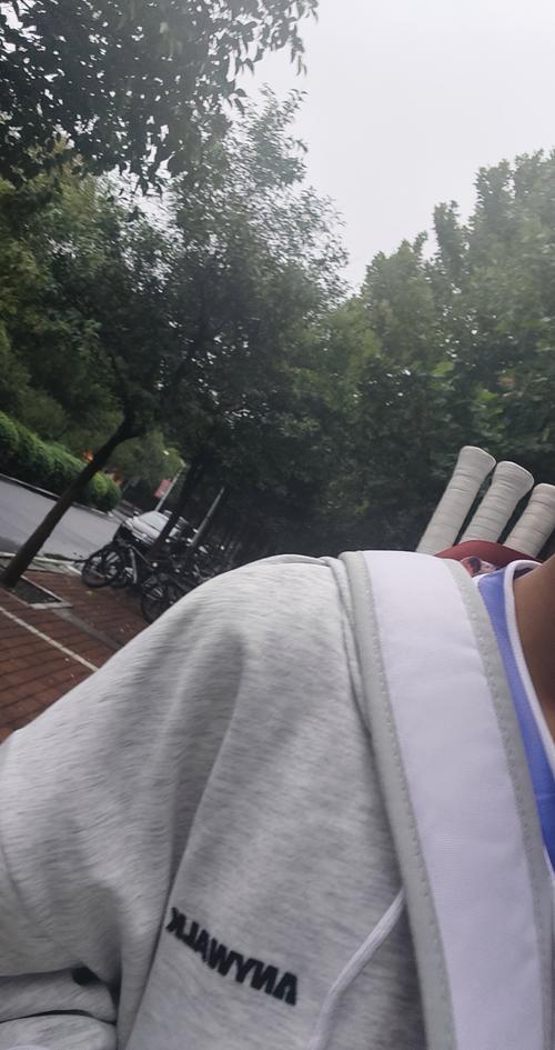 也为篮网提